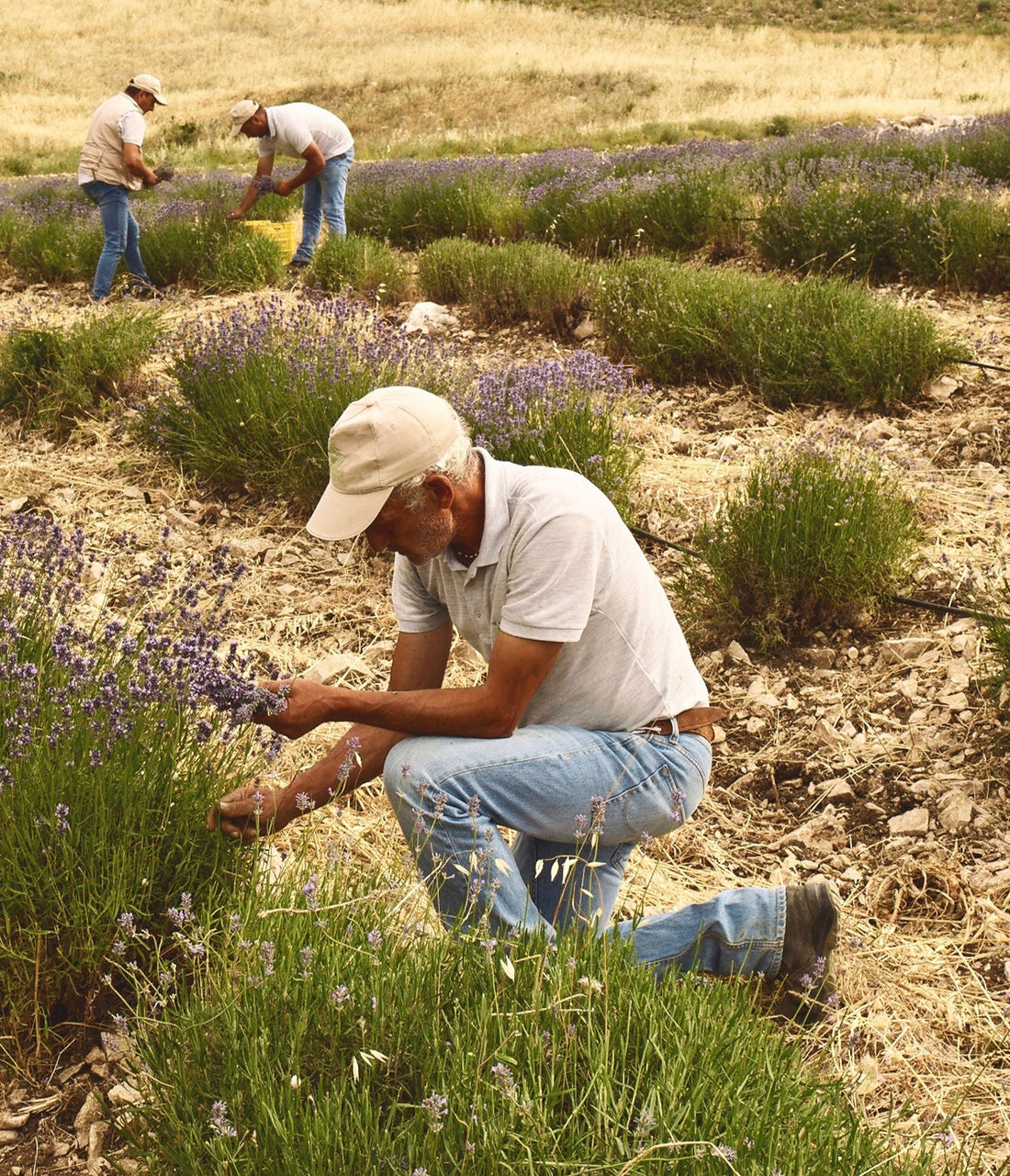 Meet Our August Impact Partner: Food Chain Workers Alliance