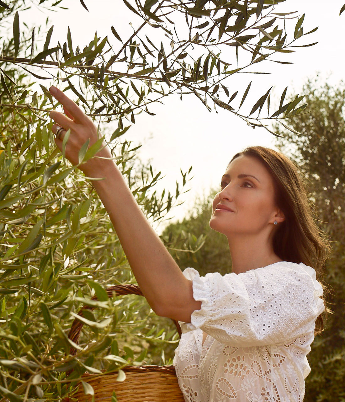 An Ode to Olive Harvest Season