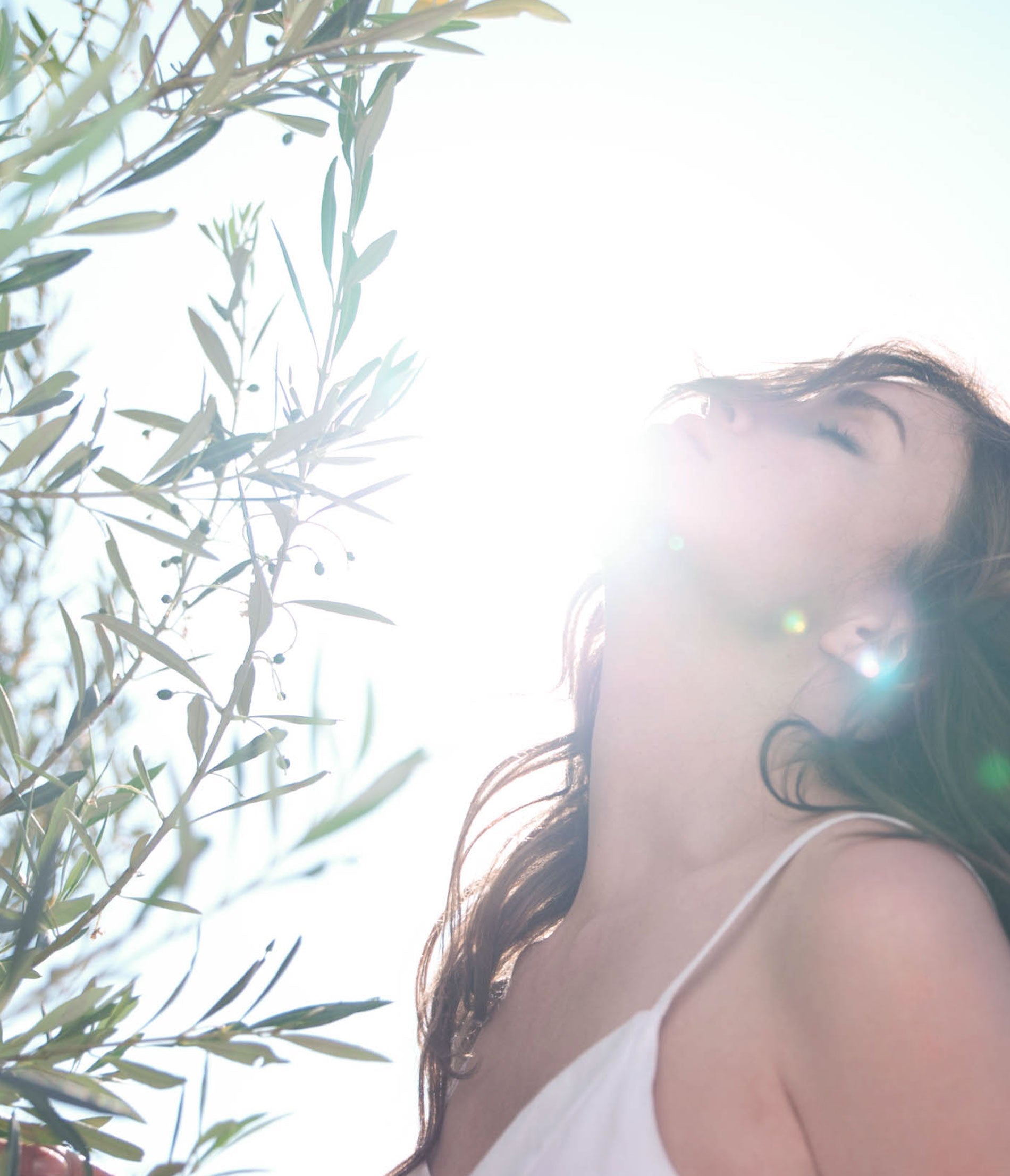 Discover Our Secret Weapon for Skin: Olive Leaf Water