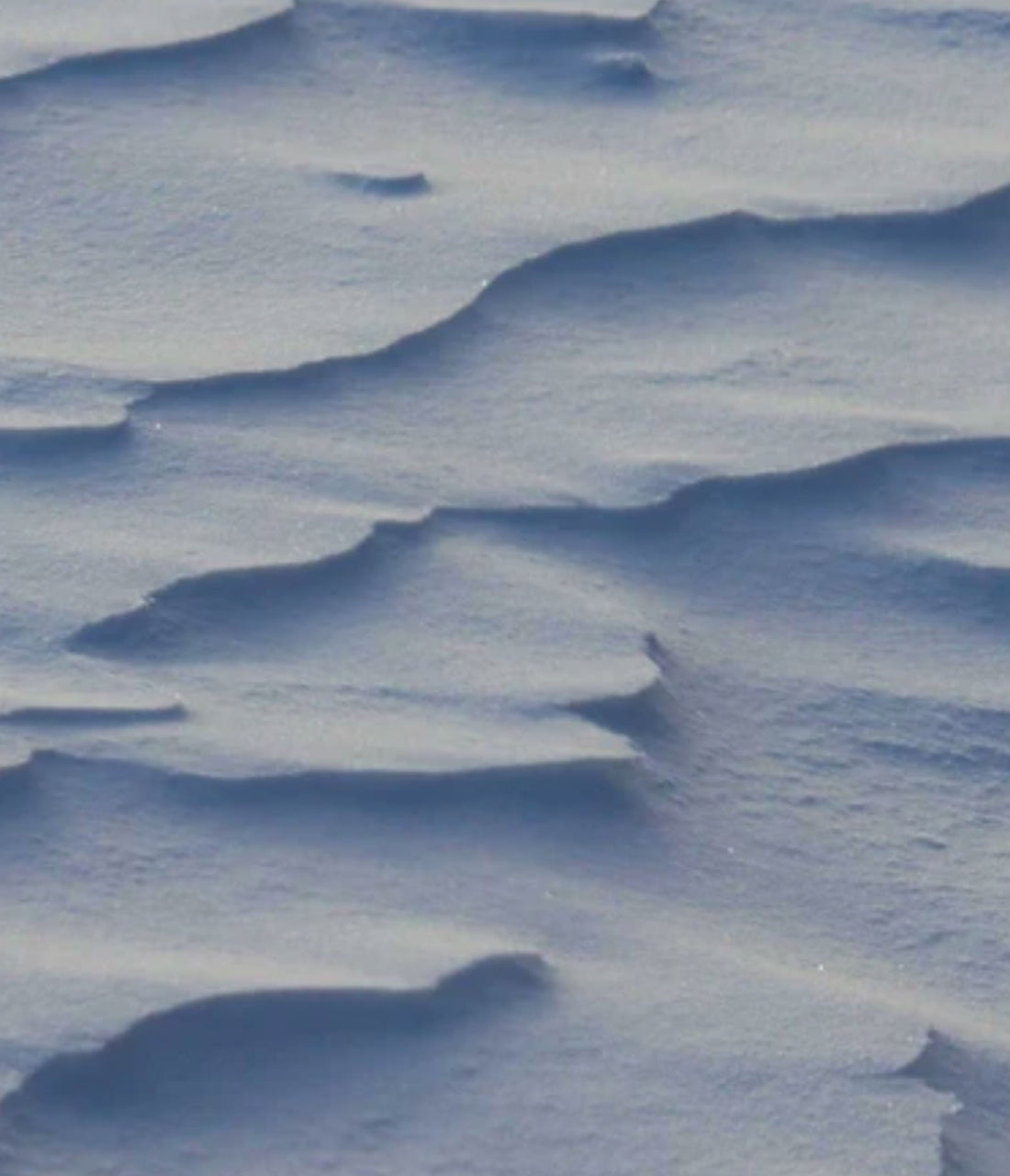 Nurturing Your Skin in the Winter Months
