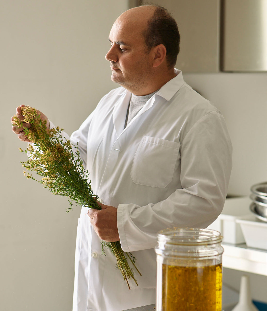 Meet Our Botanist, Mimmo