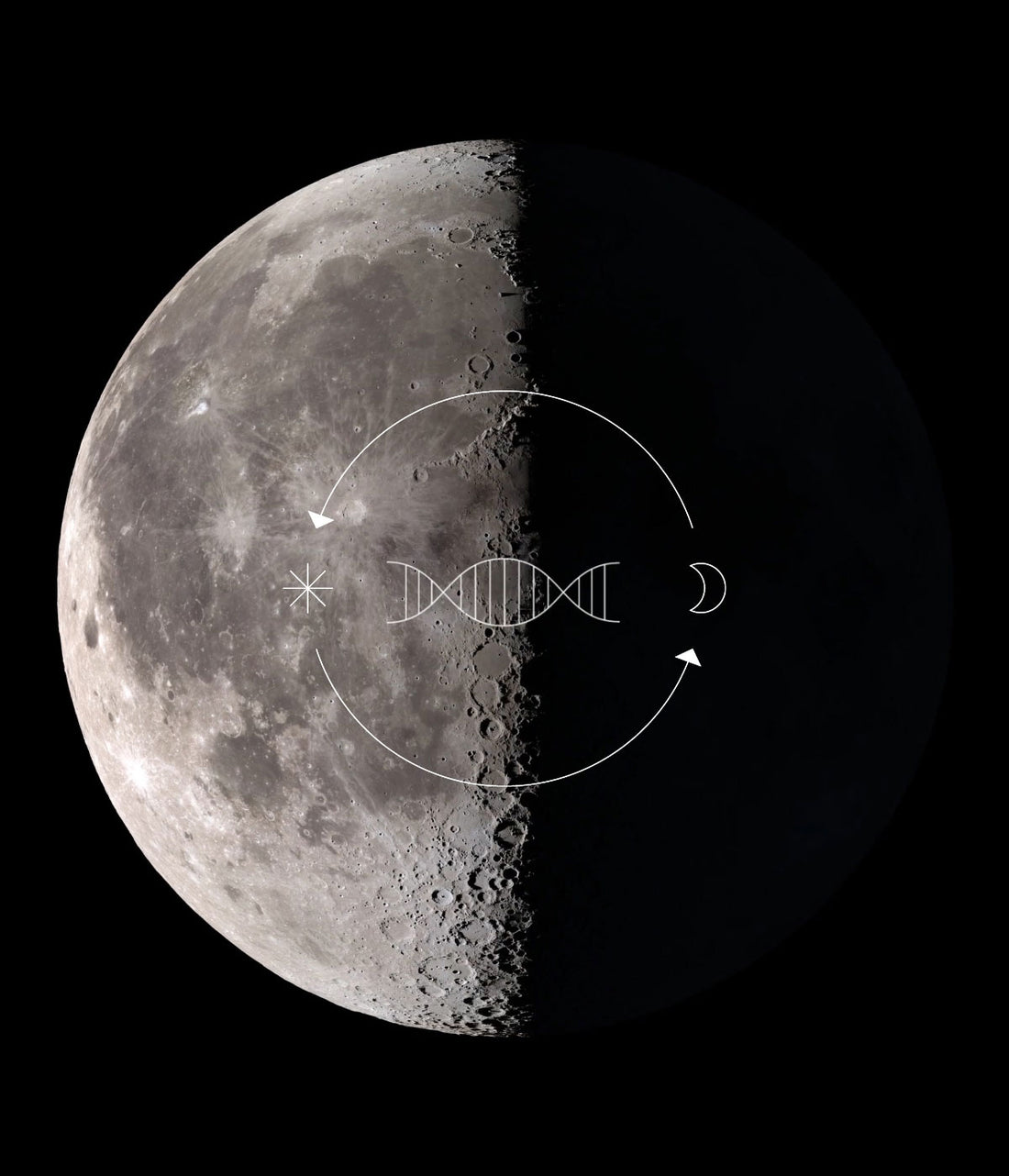 Balance Skin’s Natural Circadian Rhythm
