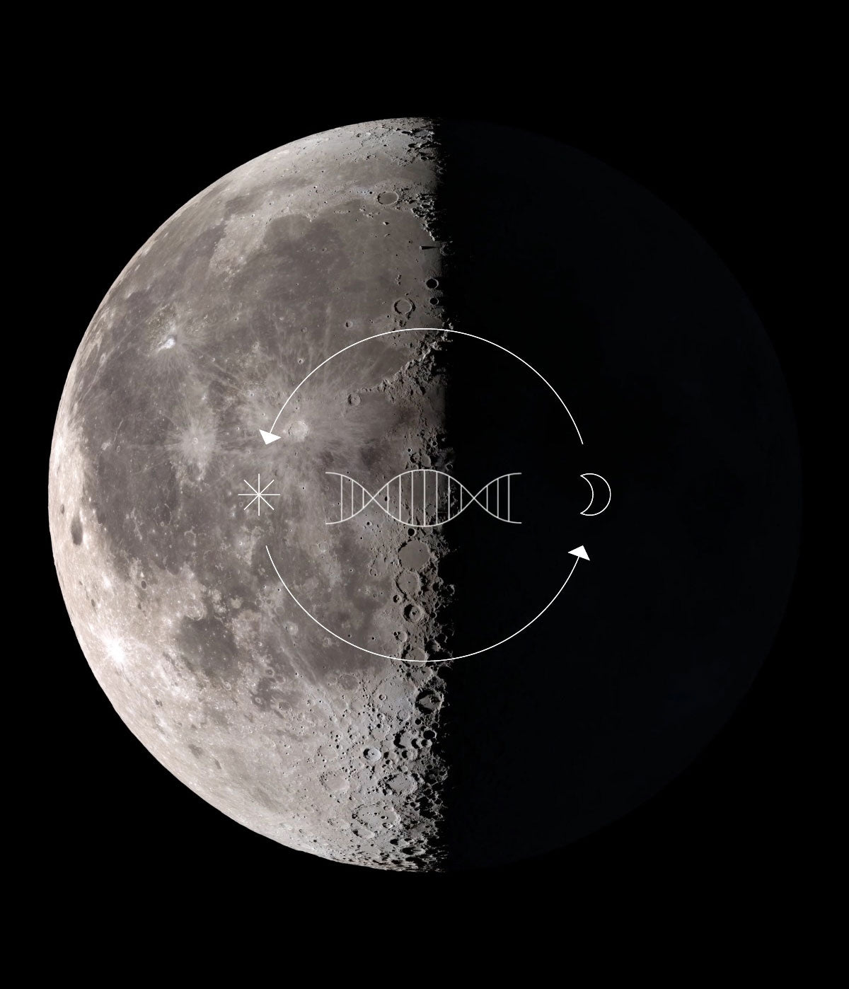 Balance Skin’s Natural Circadian Rhythm