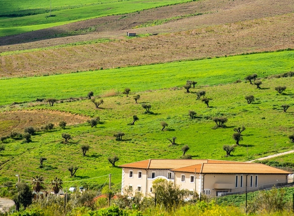Furtuna Skin, Sourced From a Private Farm in Sicily, Is Growing
