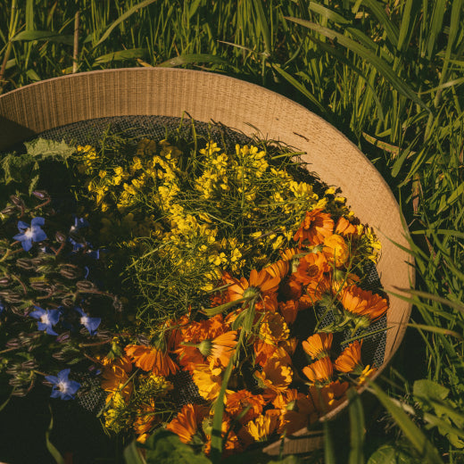 How Long Does Tretinoin Take To Actually Work?