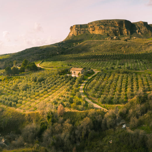 La Furtuna Farm: A Sicilian Wonderland