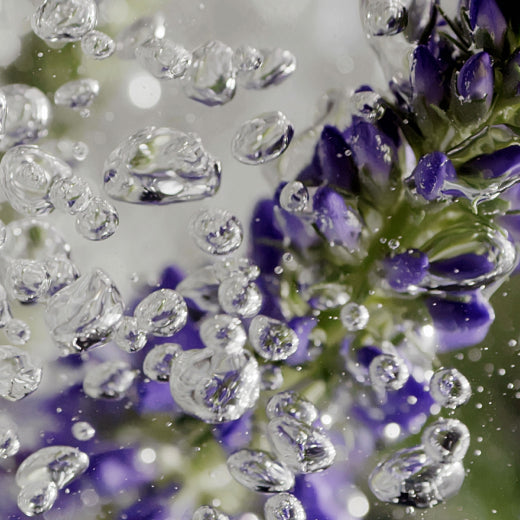 Sound Healing: The Sound of Skincare