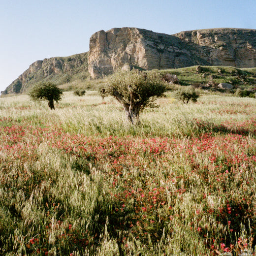 What is Regenerative Beauty?