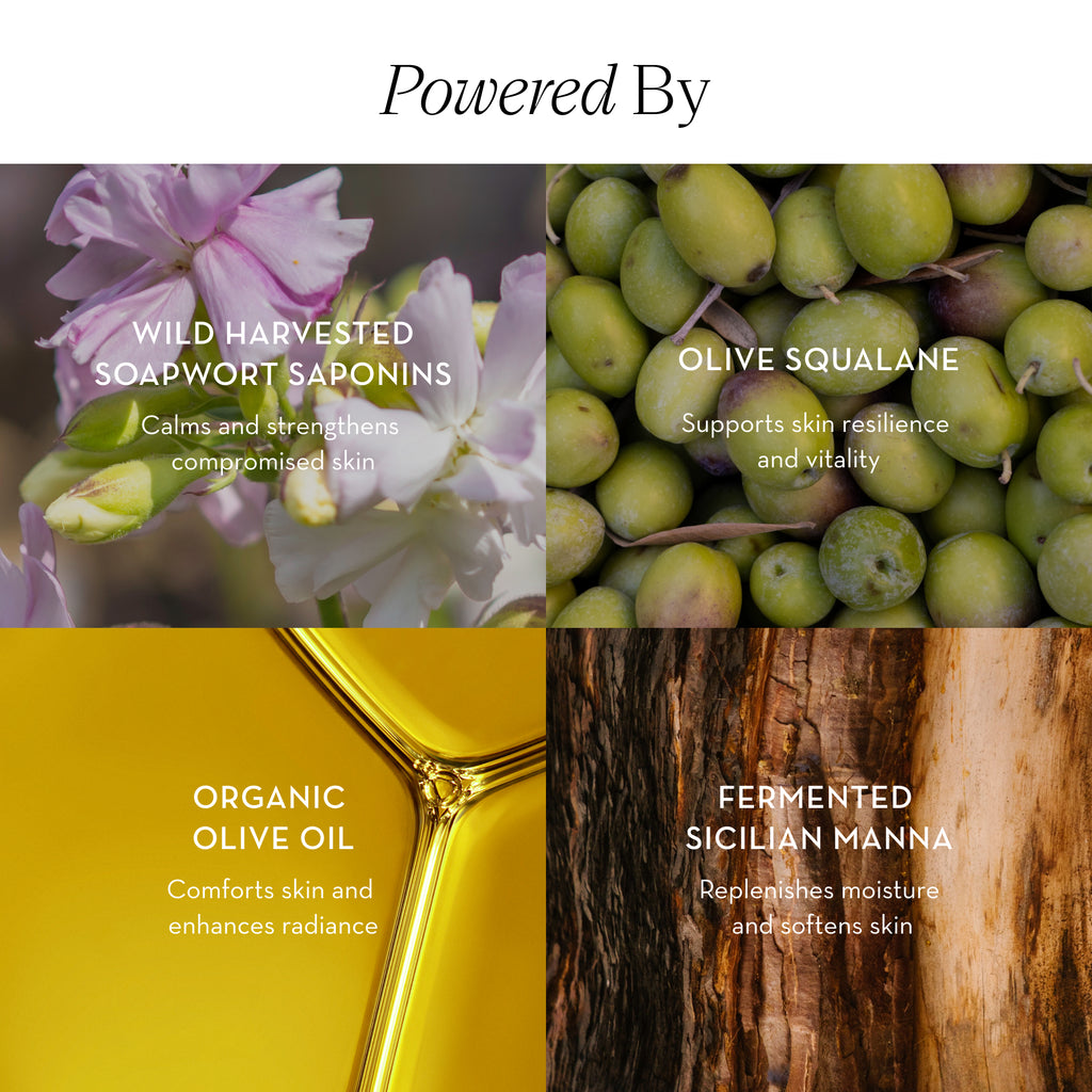 Cleansing Oil Balm
