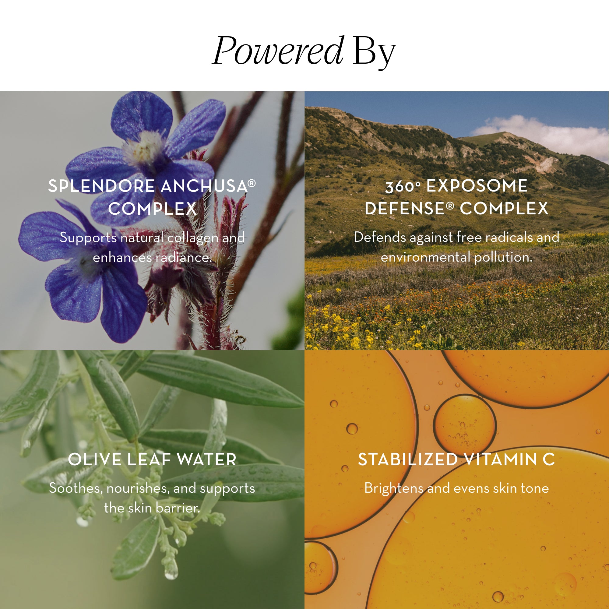 Biphase Moisturizing Oil