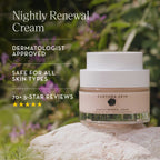 Nightly Renewal Cream