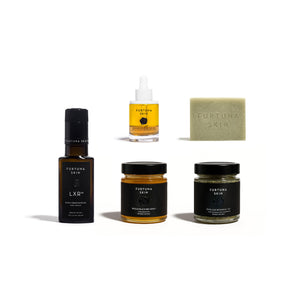 Beneath the Olive Tree