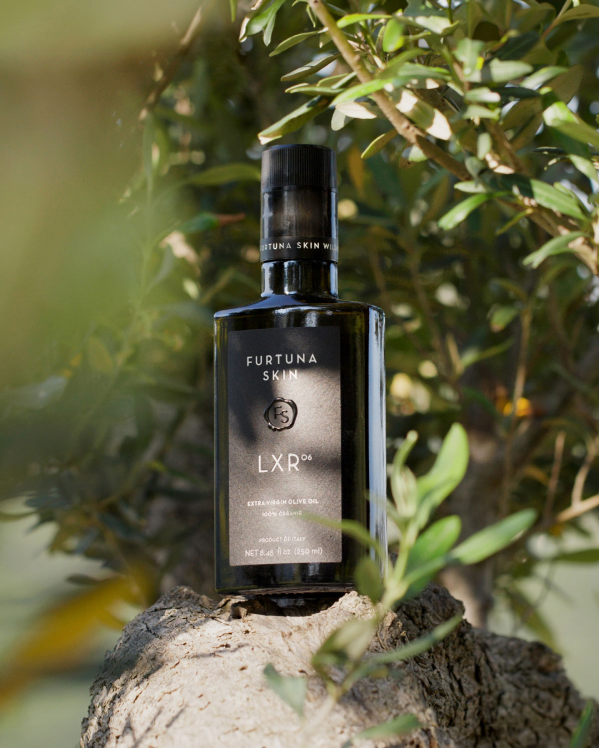LXR06 Organic Extra Virgin Olive Oil | High Polyphenol EVOO