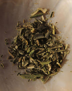 Olive Leaf Botanical Tea